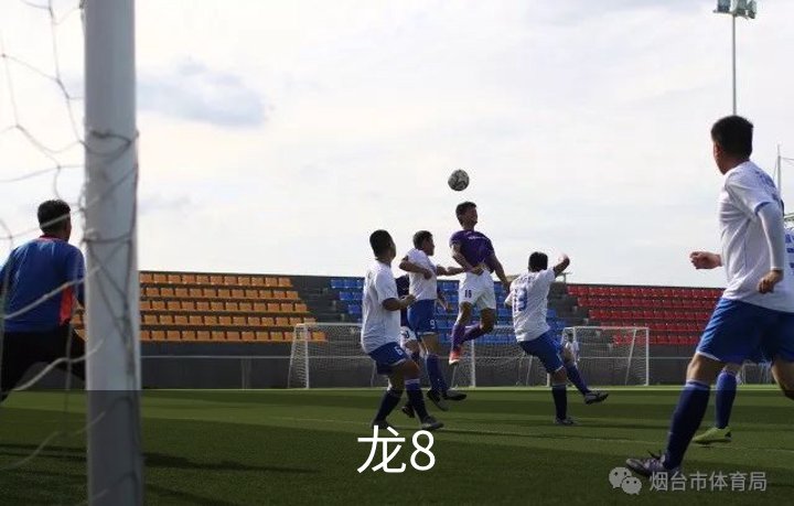 走进龙8